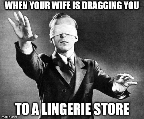 Blind Judge | WHEN YOUR WIFE IS DRAGGING YOU; TO A LINGERIE STORE | image tagged in blind judge | made w/ Imgflip meme maker