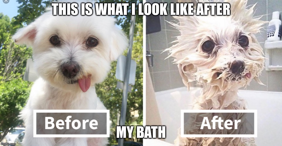  THIS IS WHAT I LOOK LIKE AFTER; MY BATH | made w/ Imgflip meme maker