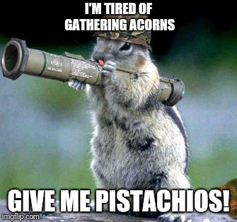 Bazooka Squirrel Meme | I'M TIRED OF GATHERING ACORNS; GIVE ME PISTACHIOS! | image tagged in memes,bazooka squirrel | made w/ Imgflip meme maker