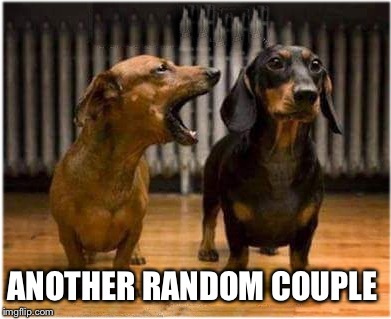 Married Dogs | ANOTHER RANDOM COUPLE | image tagged in married dogs | made w/ Imgflip meme maker