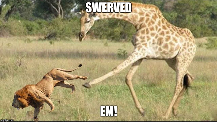 SWERVED; EM! | image tagged in alexis | made w/ Imgflip meme maker