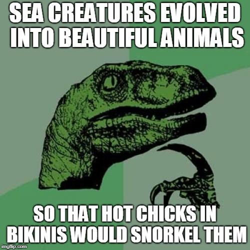 Philosoraptor Meme | SEA CREATURES EVOLVED INTO BEAUTIFUL ANIMALS; SO THAT HOT CHICKS IN BIKINIS WOULD SNORKEL THEM | image tagged in memes,philosoraptor,hot chicks,bikini week,bikini,genius | made w/ Imgflip meme maker