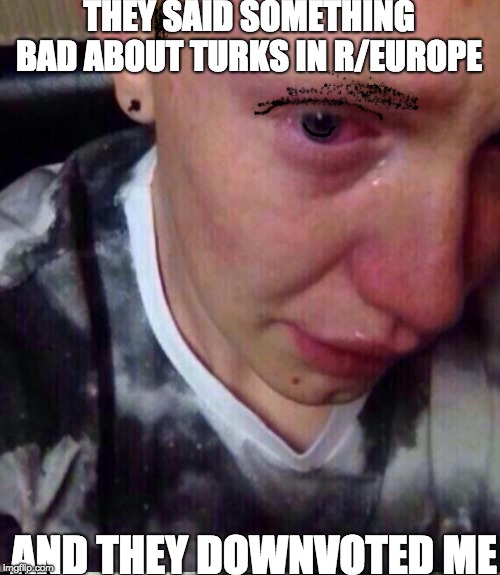 THEY SAID SOMETHING BAD ABOUT TURKS IN R/EUROPE; AND THEY DOWNVOTED ME | image tagged in TurkeyJerky | made w/ Imgflip meme maker