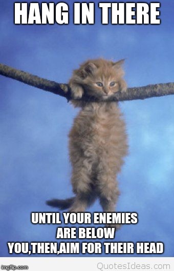 Hang in there | HANG IN THERE; UNTIL YOUR ENEMIES ARE BELOW YOU,THEN,AIM FOR THEIR HEAD | image tagged in hang in there | made w/ Imgflip meme maker