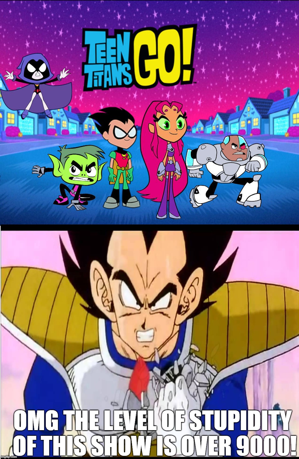 Vegeta Hates Teen Titans Go | OMG THE LEVEL OF STUPIDITY OF THIS SHOW IS OVER 9000! | image tagged in dragon ball z,memes,teen titans go,it's over 9000 | made w/ Imgflip meme maker