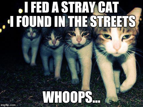 Wrong Neighboorhood Cats Meme | I FED A STRAY CAT I FOUND IN THE STREETS; WHOOPS... | image tagged in memes,wrong neighboorhood cats | made w/ Imgflip meme maker