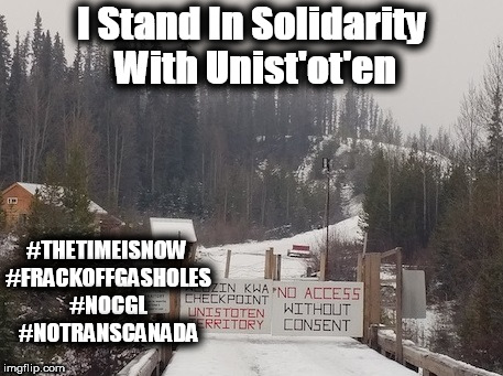 I Stand In Solidarity With Unist'ot'en; #THETIMEISNOW #FRACKOFFGASHOLES #NOCGL #NOTRANSCANADA | image tagged in unist'ot'en solidarity | made w/ Imgflip meme maker