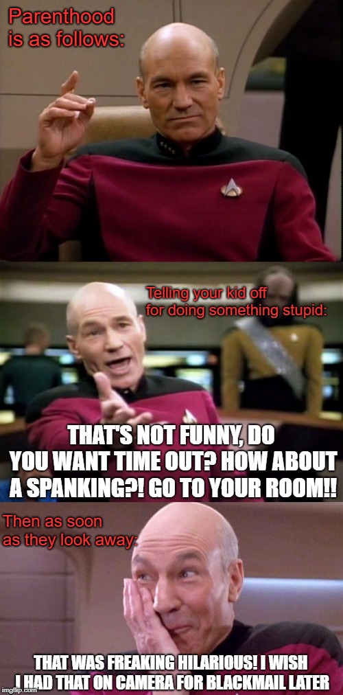 Picard explains Parenthood | Parenthood is as follows:; Telling your kid off for doing something stupid:; THAT'S NOT FUNNY, DO YOU WANT TIME OUT? HOW ABOUT A SPANKING?! GO TO YOUR ROOM!! Then as soon as they look away:; THAT WAS FREAKING HILARIOUS! I WISH I HAD THAT ON CAMERA FOR BLACKMAIL LATER | image tagged in memes,picard wtf,picard make it so,picard grin | made w/ Imgflip meme maker
