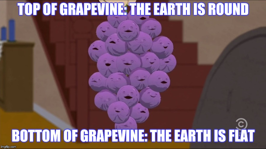 Member Berries Meme | TOP OF GRAPEVINE: THE EARTH IS ROUND; BOTTOM OF GRAPEVINE: THE EARTH IS FLAT | image tagged in memes,member berries | made w/ Imgflip meme maker