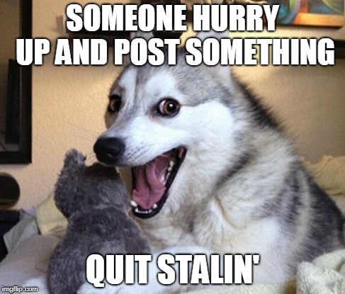 Seems legit? |  SOMEONE HURRY UP AND POST SOMETHING; QUIT STALIN' | image tagged in memes,bad pun dog,cropped,stalin | made w/ Imgflip meme maker