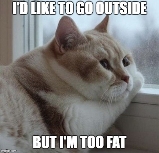 Solemn Chonk | I'D LIKE TO GO OUTSIDE; BUT I'M TOO FAT | image tagged in solemn chonk | made w/ Imgflip meme maker