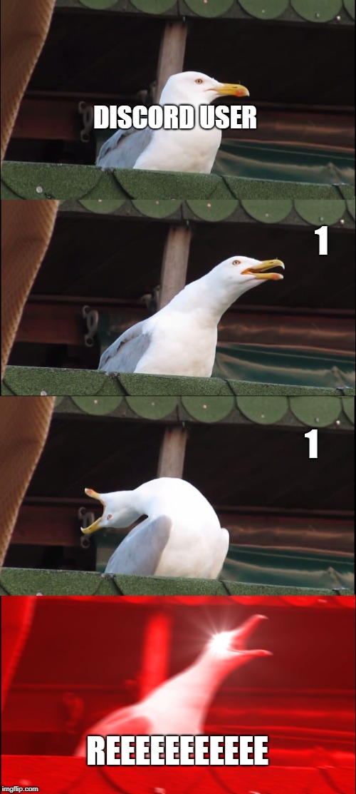 Inhaling Seagull | DISCORD USER; 1; 1; REEEEEEEEEEE | image tagged in memes,inhaling seagull | made w/ Imgflip meme maker