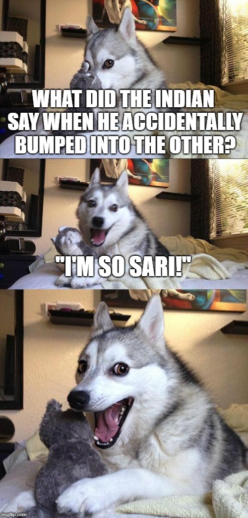 Bad Pun Dog | WHAT DID THE INDIAN SAY WHEN HE ACCIDENTALLY BUMPED INTO THE OTHER? "I'M SO SARI!" | image tagged in memes,bad pun dog,funny,secret tag,indians,sari | made w/ Imgflip meme maker