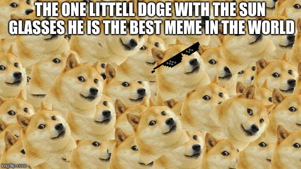 Multi Doge | THE ONE LITTELL DOGE WITH THE SUN GLASSES HE IS THE BEST MEME IN THE WORLD | image tagged in memes,multi doge | made w/ Imgflip meme maker