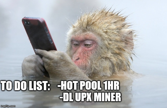 monkey cell phone | -HOT POOL 1HR 
-DL UPX MINER; TO DO LIST: | image tagged in monkey cell phone | made w/ Imgflip meme maker