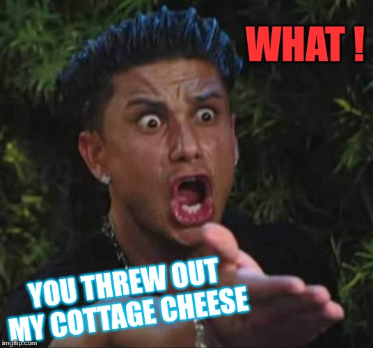 Jersey shore  | WHAT ! YOU THREW OUT MY COTTAGE CHEESE | image tagged in jersey shore | made w/ Imgflip meme maker