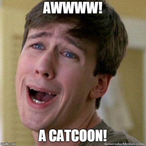 awww | AWWWW! A CATCOON! | image tagged in awww | made w/ Imgflip meme maker