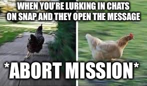 running chicken | WHEN YOU’RE LURKING IN CHATS ON SNAP AND THEY OPEN THE MESSAGE; *ABORT MISSION* | image tagged in running chicken | made w/ Imgflip meme maker