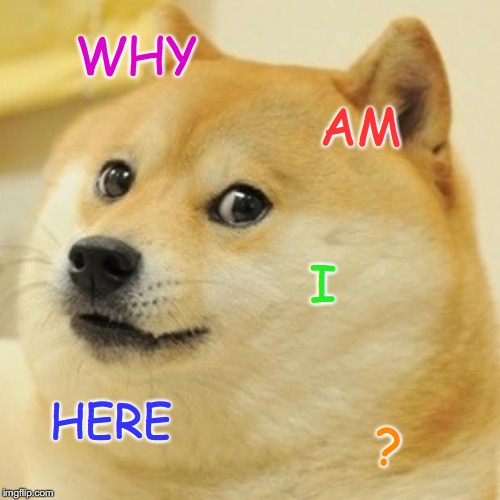 Doge | WHY; AM; I; HERE; ? | image tagged in memes,doge | made w/ Imgflip meme maker