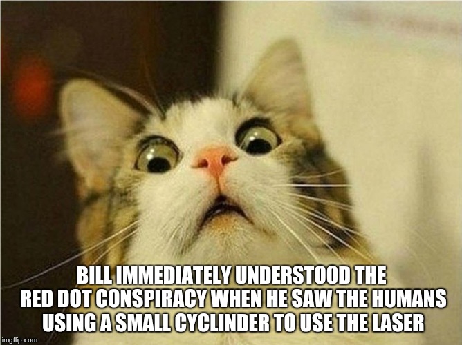 Red Dot Conspiracy | BILL IMMEDIATELY UNDERSTOOD THE RED DOT CONSPIRACY WHEN HE SAW THE HUMANS USING A SMALL CYCLINDER TO USE THE LASER | image tagged in suprised cat | made w/ Imgflip meme maker