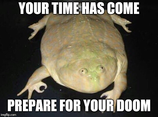 this frog will end humanity | YOUR TIME HAS COME; PREPARE FOR YOUR DOOM | image tagged in frog week | made w/ Imgflip meme maker