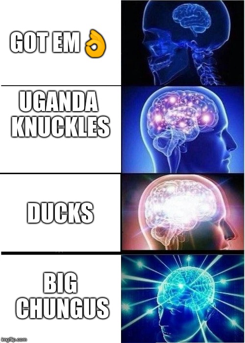 Expanding Brain Meme | GOT EM👌; UGANDA KNUCKLES; DUCKS; BIG CHUNGUS | image tagged in memes,expanding brain | made w/ Imgflip meme maker