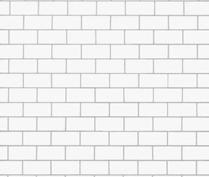 The Wall Blank Meme Template