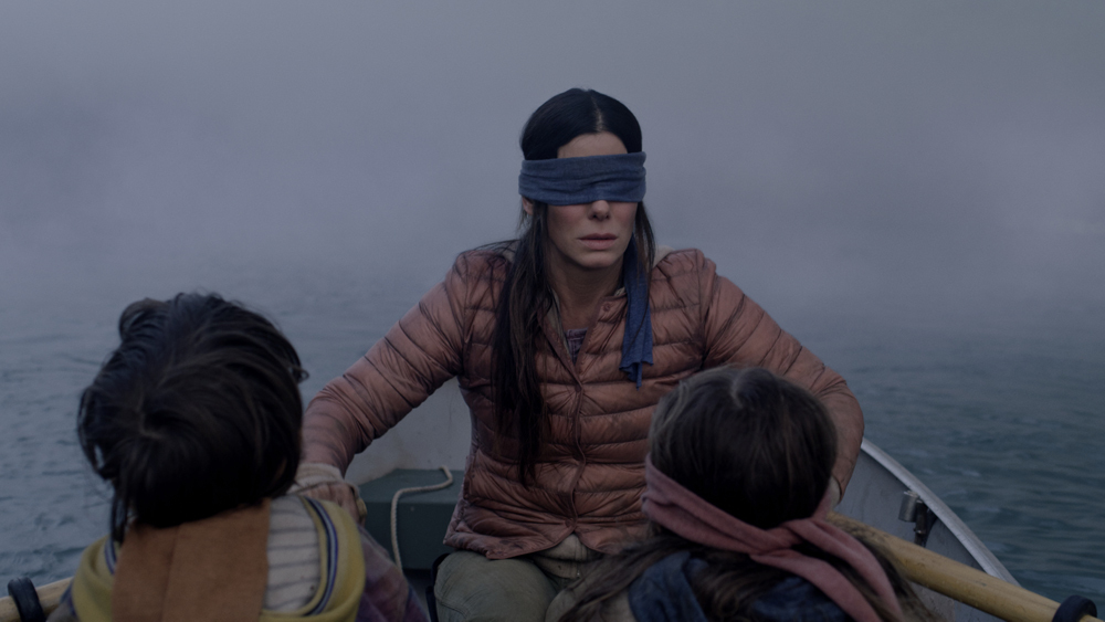 Bird Box Sandra Bullock Blank Meme Template