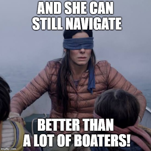 Bird Box Meme | AND SHE CAN STILL NAVIGATE; BETTER THAN A LOT OF BOATERS! | image tagged in birdbox | made w/ Imgflip meme maker