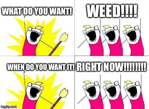 What Do We Want Meme | WHAT DO YOU WANT! WEED!!!! WHEN DO YOU WANT IT! RIGHT NOW!!!!!!!! | image tagged in memes,what do we want | made w/ Imgflip meme maker