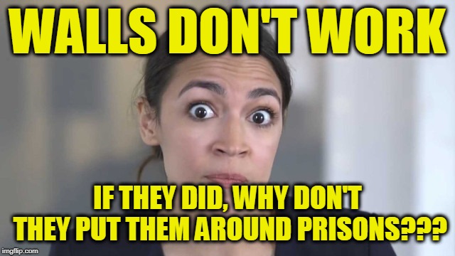 Crazy Alexandria Ocasio-Cortez | WALLS DON'T WORK; IF THEY DID, WHY DON'T THEY PUT THEM AROUND PRISONS??? | image tagged in crazy alexandria ocasio-cortez | made w/ Imgflip meme maker