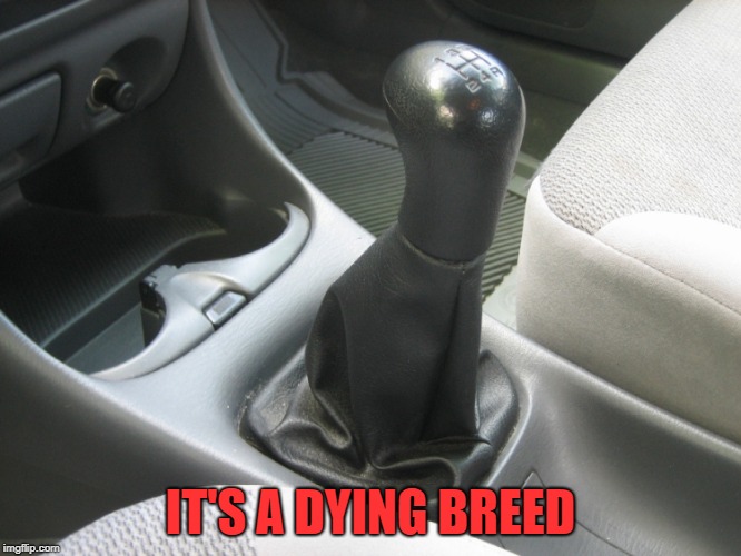 Stick Shift | IT'S A DYING BREED | image tagged in stick shift | made w/ Imgflip meme maker