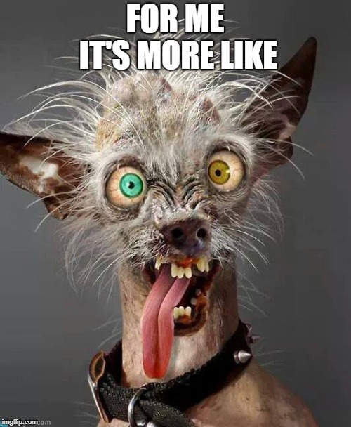 Crazy Dog | FOR ME IT'S MORE LIKE | image tagged in crazy dog | made w/ Imgflip meme maker