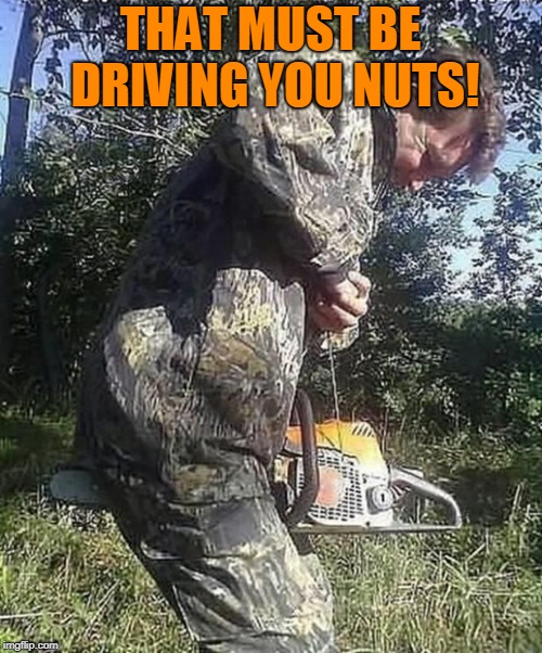 Chainsaw | THAT MUST BE DRIVING YOU NUTS! | image tagged in chainsaw | made w/ Imgflip meme maker