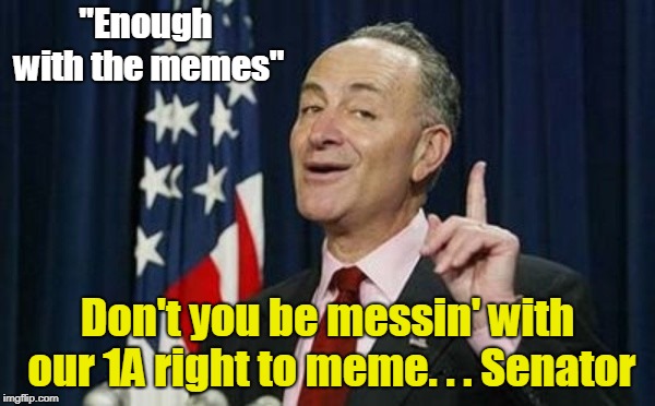 Enough With The Memes | "Enough with the memes"; Don't you be messin' with our 1A right to meme. . . Senator | image tagged in slimy chuck schumer | made w/ Imgflip meme maker