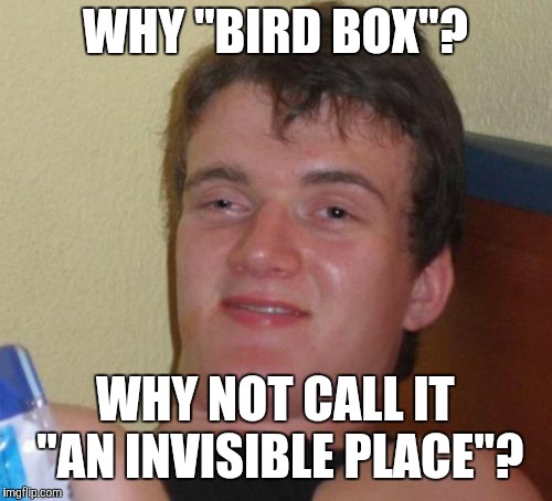 And what kind of monsters are they, basilisks? | WHY "BIRD BOX"? WHY NOT CALL IT "AN INVISIBLE PLACE"? | image tagged in memes,10 guy,bird box,netflix,movies | made w/ Imgflip meme maker