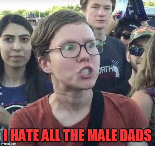 Triggered feminist | I HATE ALL THE MALE DADS | image tagged in triggered feminist | made w/ Imgflip meme maker