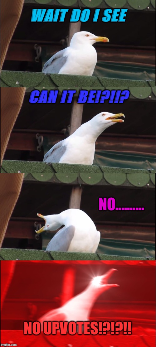 Inhaling Seagull | WAIT DO I SEE; CAN IT BE!?!!? NO.......... NO UPVOTES!?!?!! | image tagged in memes,inhaling seagull | made w/ Imgflip meme maker