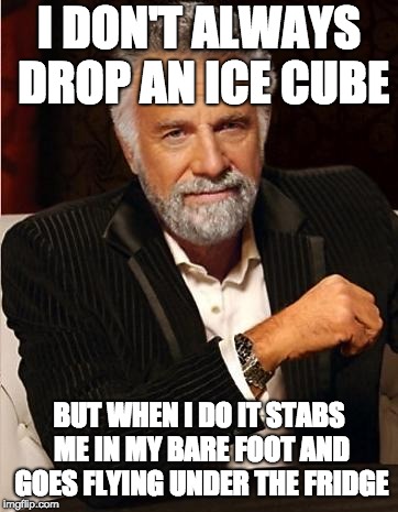 i don't always | I DON'T ALWAYS DROP AN ICE CUBE; BUT WHEN I DO IT STABS ME IN MY BARE FOOT AND GOES FLYING UNDER THE FRIDGE | image tagged in i don't always,AdviceAnimals | made w/ Imgflip meme maker