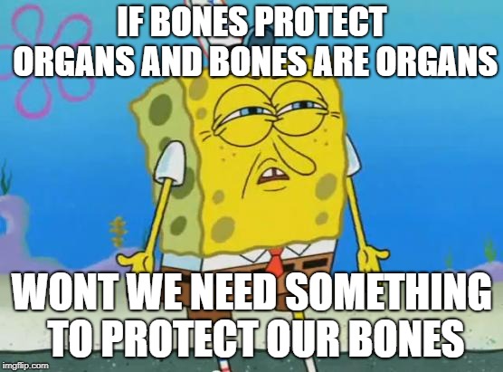 Angry Spongebob | IF BONES PROTECT ORGANS AND BONES ARE ORGANS; WONT WE NEED SOMETHING TO PROTECT OUR BONES | image tagged in angry spongebob | made w/ Imgflip meme maker