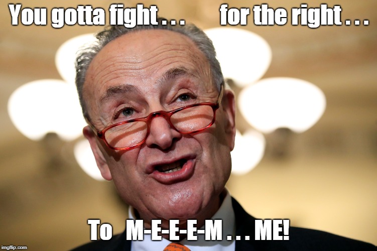 Chuck Schume: Enough with the memes | You gotta fight . . .        for the right . . . To   M-E-E-E-M . . . ME! | image tagged in chuck schumer,enough with the memes | made w/ Imgflip meme maker