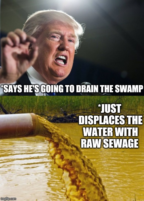 Water Displacement; Sewage Replacement  | *JUST DISPLACES THE WATER WITH RAW SEWAGE; *SAYS HE'S GOING TO DRAIN THE SWAMP | image tagged in donald trump,drain the swamp,government shutdown,funny,political humor | made w/ Imgflip meme maker