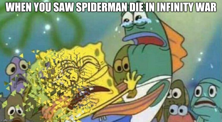 WHEN YOU SAW SPIDERMAN DIE IN INFINITY WAR | image tagged in infinity war,spoiler alert | made w/ Imgflip meme maker