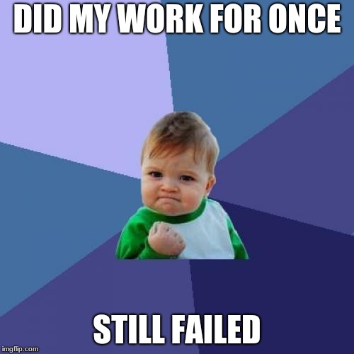 Success Kid Meme | DID MY WORK FOR ONCE; STILL FAILED | image tagged in memes,success kid | made w/ Imgflip meme maker