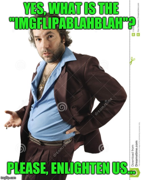YES, WHAT IS THE "IMGFLIPABLAHBLAH"? PLEASE, ENLIGHTEN US... | made w/ Imgflip meme maker