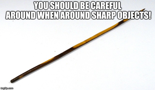 Sharp Stick Assault Weapon | YOU SHOULD BE CAREFUL AROUND WHEN AROUND SHARP OBJECTS! | image tagged in sharp stick assault weapon | made w/ Imgflip meme maker