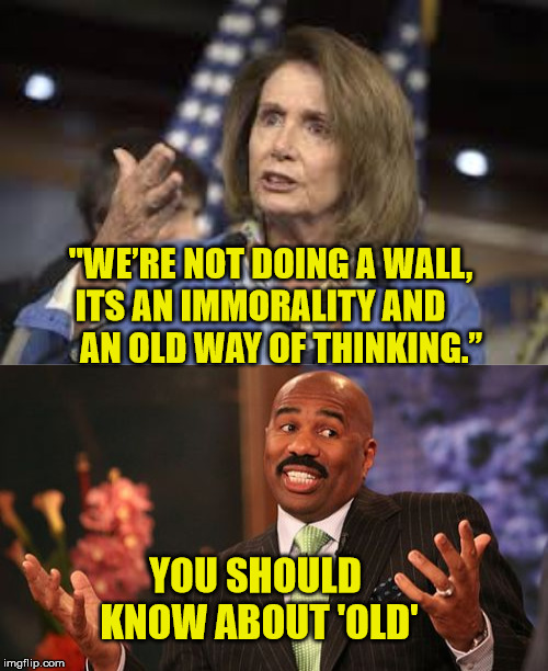 An expert on OLD | "WE’RE NOT DOING A WALL, ITS AN IMMORALITY AND         AN OLD WAY OF THINKING.”; YOU SHOULD KNOW ABOUT 'OLD' | image tagged in memes,steve harvey,nancy pelosi,political,wall,old | made w/ Imgflip meme maker