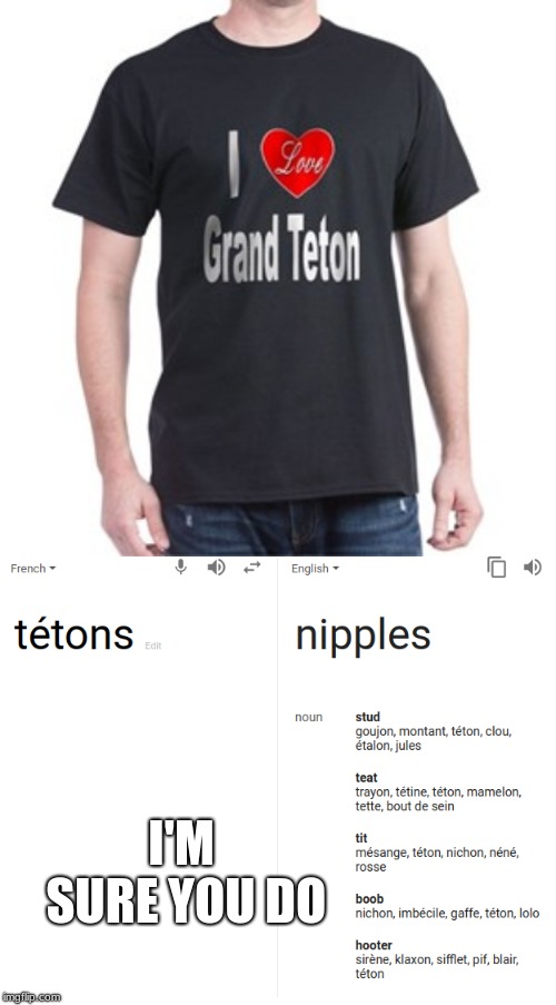 Visit Jackson HOLE In beetween the great Tetons! | I'M SURE YOU DO | image tagged in memes,funny,google translate sings,wyoming,funny shirts | made w/ Imgflip meme maker