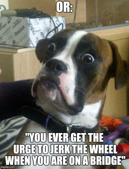 Blankie the Shocked Dog | OR: "YOU EVER GET THE URGE TO JERK THE WHEEL WHEN YOU ARE ON A BRIDGE" | image tagged in blankie the shocked dog | made w/ Imgflip meme maker