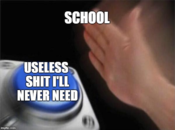 Blank Nut Button | SCHOOL; USELESS SHIT I'LL NEVER NEED | image tagged in memes,blank nut button | made w/ Imgflip meme maker